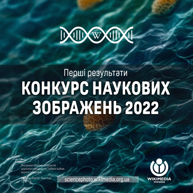 Plakat mit dem Text "Wettbewerb wissenschaftlicher Abbildungen im Jahr 2022", einem Logo und Wasser im Hintergrund.