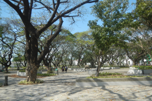 Ein Park mit zahlreichen Bäumen, Menschen, die spazieren gehen, Bänken, trockenen Blättern auf dem Boden, Gebäuden im Hintergrund und einem klaren blauen Himmel.