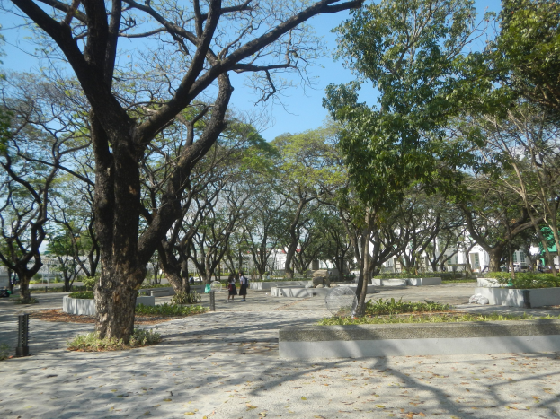Ein Park mit zahlreichen Bäumen, Menschen, die spazieren gehen, Bänken, trockenen Blättern auf dem Boden, Gebäuden im Hintergrund und einem klaren blauen Himmel.