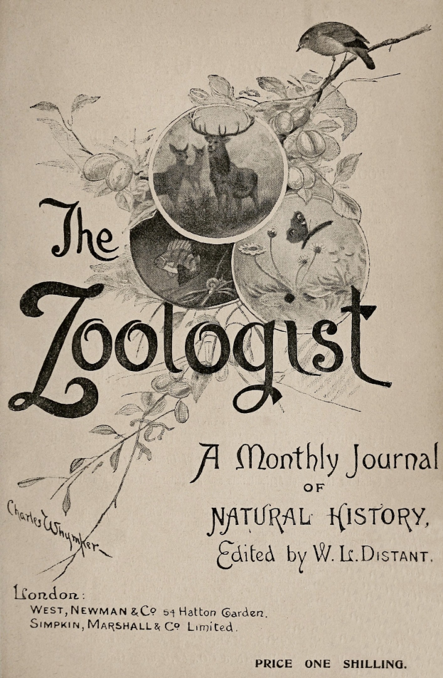 Ein Buch mit dem Titel "The Zoologist: A Monthly Journal of Natural History" mit einem Vogel auf dem Cover umgeben von realistischen Illustrationen eines Rehs, Kaninchens und Fuchses.