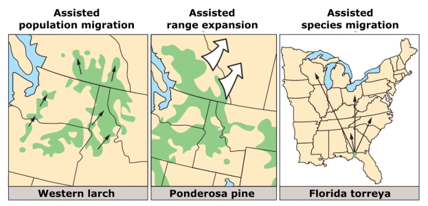 A poster featuring a map of the United States highlighting assisted population migration types, with accompanying explanatory text.