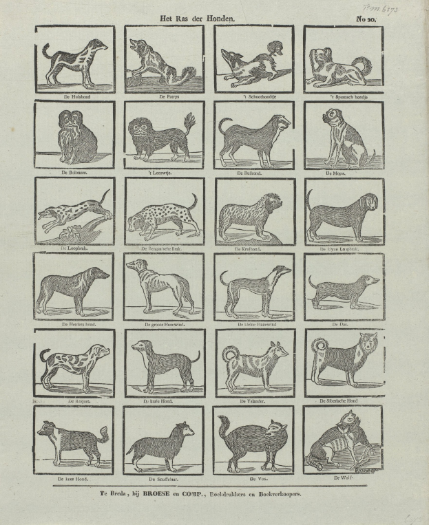 Ein offenes altes Buch mit Abbildungen verschiedener Hundewelpen und begleitendem Text.