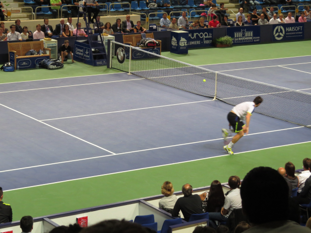 Ein Mann spielt Tennis auf einem Platz mit Zuschauern, die eine Racket und einen Ball in die Luft halten, mit einem Netz und Bannern im Hintergrund.
