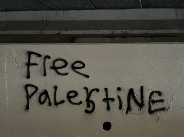 Schwarze Graffiti-Schriftzug 'free palestine' auf einer Wand, beleuchtet von einer Lampe oben.