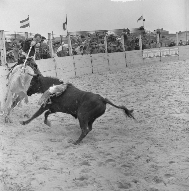 Schwarzes und weißes Bild eines Cowboys, der auf einem bockenden Bullen bei einem Rodeo reitet, während er die Zügel hält und der Bulle auf sandigem Boden läuft, mit Zuschauern und Fahnen im Hintergrund.