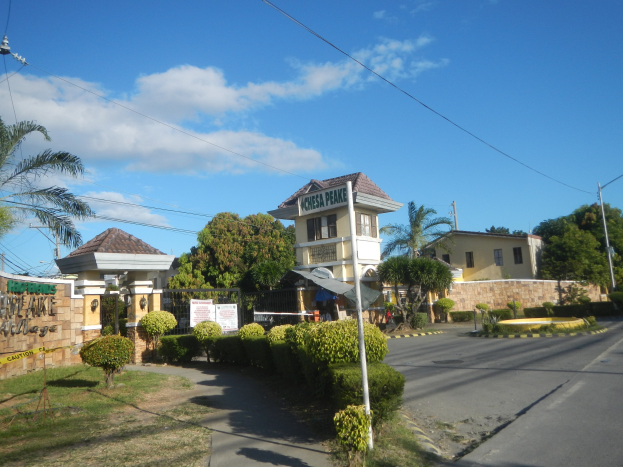 Ein zum Verkauf stehendes Grundstück in Cebu City, Philippinen, das Gebäude, Bäume, Pflanzen, Gras, eine Straße, Strommasten mit Drähten und einen bewölkten Himmel zeigt, mit einem Wasserzeichen.