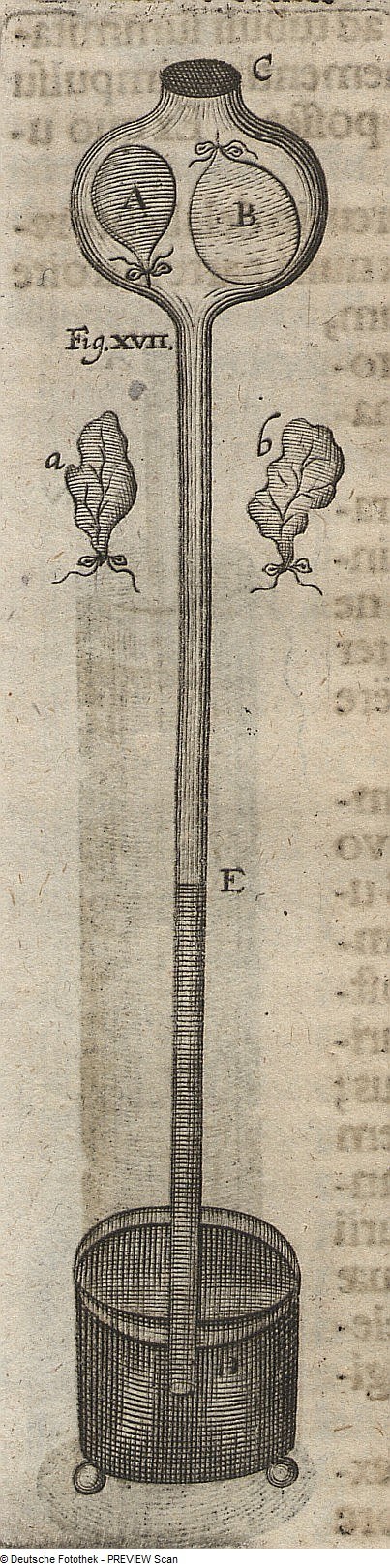 Ein altes Buch mit einer Zeichnung eines Schlüssels in der Mitte, umgeben von Text, der den Schlüssel zum Verständnis des menschlichen Körpers symbolisiert.