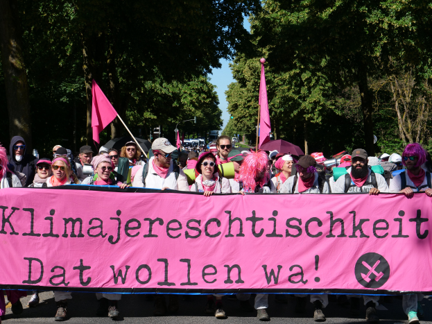 Eine Gruppe von Menschen marschiert auf einer Straße, hält eine pinkfarbene 'Women's March'-Fahne, einige tragen Mützen und Schutzbrillen, andere halten Fahnen, unter einem klaren blauen Himmel mit Bäumen im Hintergrund.