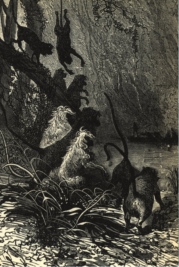 Schwarze und weiße Illustration einer Gruppe von Löwen in einer Dschungellandschaft mit üppiger Vegetation und Bäumen, mit dem Text 'Der Löwenkönig' unten.