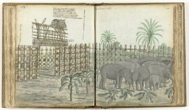 Offenes Buch mit einer Zeichnung von Elefanten in einem Zoogebäude, umgeben von Bäumen, Pflanzen und einem Zaun, mit sichtbarem Text auf der Seite.