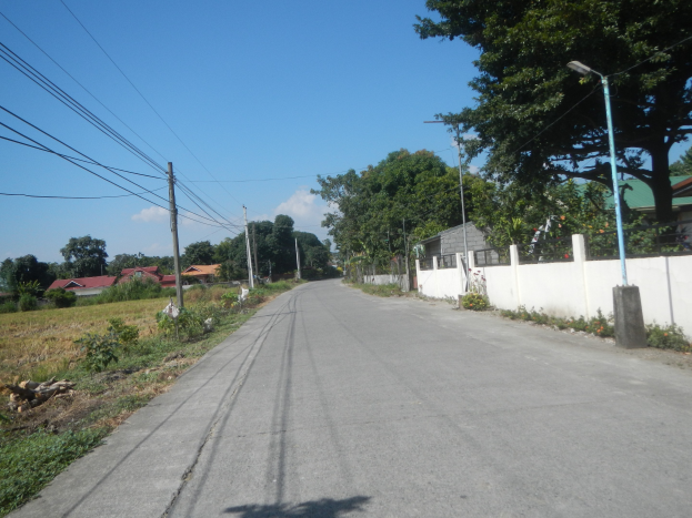 Ein zum Verkauf stehendes Grundstück in Cebu City, Philippinen, mit einer Straße mit Strommasten, Laternen, Mauern, Pflanzen, Gras, Bäumen und einem bewölkten Himmel im Hintergrund.