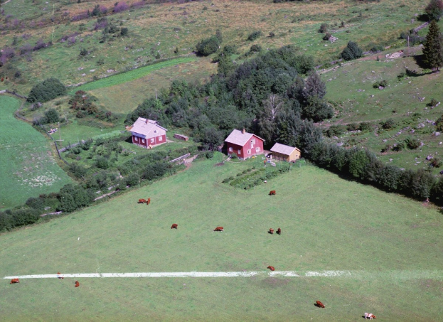 Luftaufnahme eines Bauernhofs mit Kühen auf einer grünen Wiese umgeben von Bäumen und Häusern.