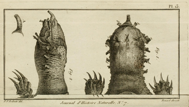 Eine handgezeichnete Skizze eines Monsterkopfes und -klauen auf Papier, die einen bedrohlichen Ausdruck mit weit aufgerissenen Augen, offenem, fauchendem Mund, scharfen Klauen und geschupptem Körper zeigt, begleitet von fetter Schrift.