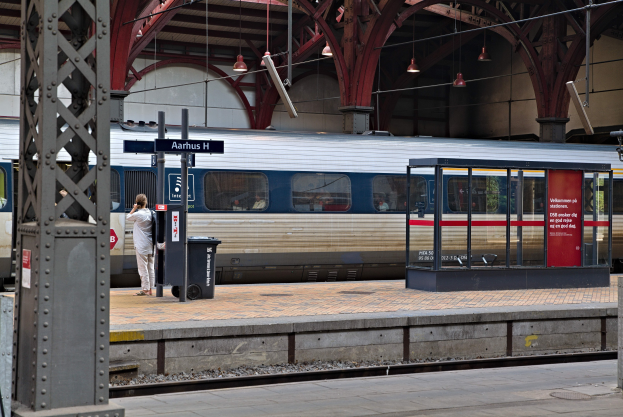 Ein Zug fährt auf einem Bahnsteig ein mit einer Person in der Nähe, einem Müllbehälter, Pfosten, Informationsanzeigen und Deckenleuchten.