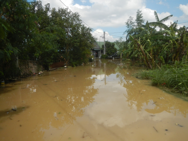 Flutstraße in ländlicher Gegend mit Wasser auf der Straße, Pflanzen und Bäumen auf beiden Seiten, einem geparkten Auto auf der rechten Seite und beschädigten Häusern, Pfählen und Drähten im Hintergrund unter einem bewölkten Himmel.