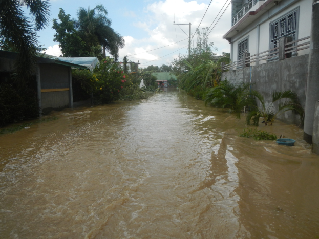 Überschwemmte Straße in den Philippinen mit Wasser, das die Straße, Pflanzen und Bäume auf beiden Seiten bedeckt, Gebäude auf der rechten Seite, Strommasten mit Drähten im Hintergrund und bewölkter Himmel.