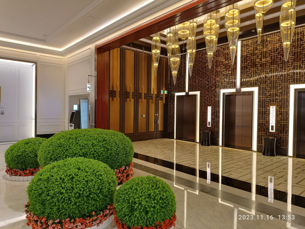 Luxuriöses Hotel-Foyer in Shanghai mit einem großen Kronleuchter, Bodengepflanzen, Deckenbeleuchtung, Wandschildern und einem unteren rechten Wasserzeichen.