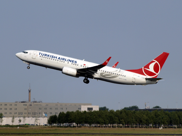 Turkish Airlines Airbus A320-200 startet vom Istanbul Airport mit grünem Gras darunter, Bäumen und Gebäuden im Hintergrund und einem klaren blauen Himmel darüber.
