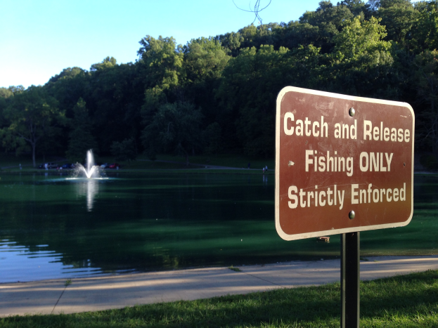 Schild mit der Aufschrift 'Catch and Release Fishing Only Strictly Enforced' im Vordergrund eines Sees, umgeben von grünem Gras und Bäumen unter einem sichtbaren Himmel.