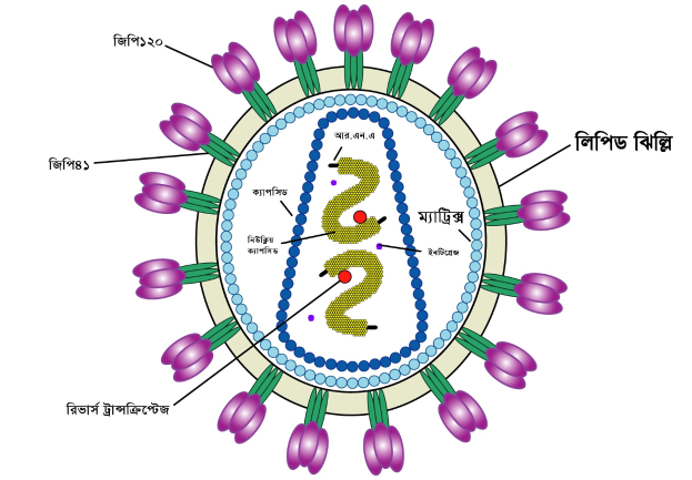 Ein farbenfrohes Rangoli-Design für Diwali mit einer zentralen Zahl 2, umgeben von Blumen und Bengali-Text.