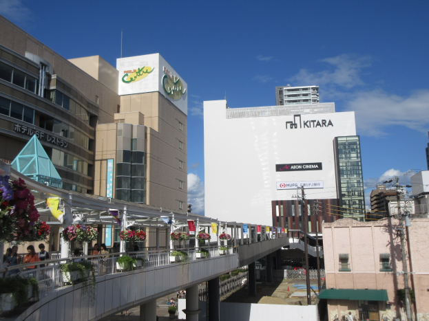 Eine belebte Stadtstraße mit hohen Gebäuden, eine Brücke mit Geländern, Töpfe mit blühenden Pflanzen, Fußgänger auf der Brücke, Strommasten mit Drähten und ein bewölkter Himmel im Hintergrund.