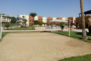 Ein Strandvolleyballplatz mit einem Netz in der Mitte, umgeben von grünem Gras, Bäumen und Pflanzen, mit Gebäuden und einem klaren blauen Himmel im Hintergrund.