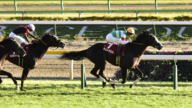 Zwei Jockeys in Helmen lassen Pferde auf einer von Grün umgebenen Bahn galoppieren, im Hintergrund ist ein Geländer und eine Texttafel zu sehen.