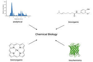 Diagramm eines chemischen Biologie-Prozesses auf einem weißen Hintergrund, das einen Graph in der linken oberen Ecke zeigt, der die Beziehung zwischen Bioorganik und Biochemie darstellt.