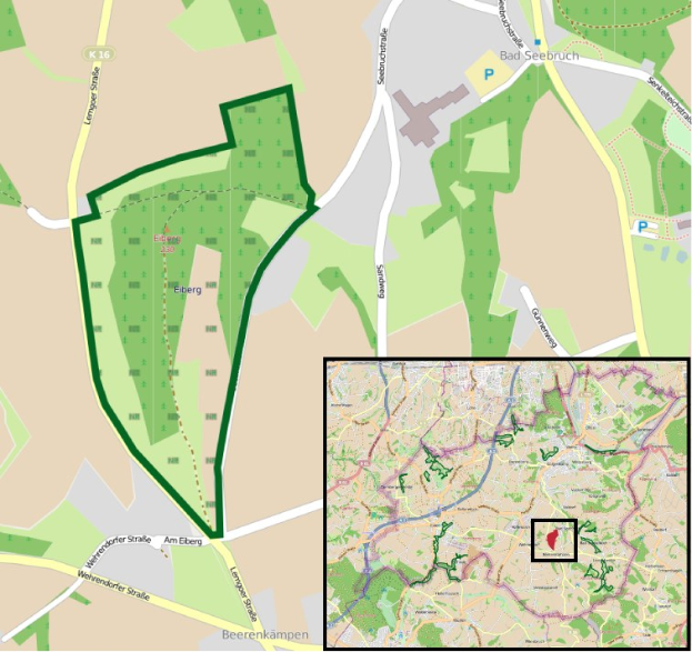Stadtplan, der einen zentralen grünen Bereich als geplanten Baustandort markiert, mit umliegenden Straßen, Gebäuden und Sehenswürdigkeiten.