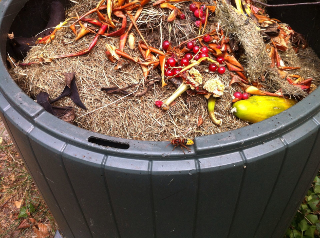 Ein grüner Müllcontainer voller Obst, Gemüse, trockenem Gras und Blättern, der auf einer grünen Fläche mit Pflanzen im Hintergrund steht, wahrscheinlich zum Kompostieren verwendet.