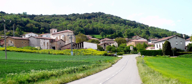 Kleines Dorf mit einer Straße, die hindurchführt, umgeben von grünen Feldern, Pflanzen und Gras, mit einem Hügel voller Bäume und Gebäuden im Hintergrund, Stromleitungen entlang der Straße und Himmel darüber.