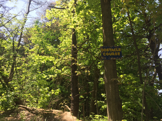 Ein Schotterweg in einem bewaldeten Gebiet, der von einem Schild mit der Aufschrift 'Hindernislauf' markiert ist und von Bäumen gesäumt ist, mit dem Himmel im Hintergrund.