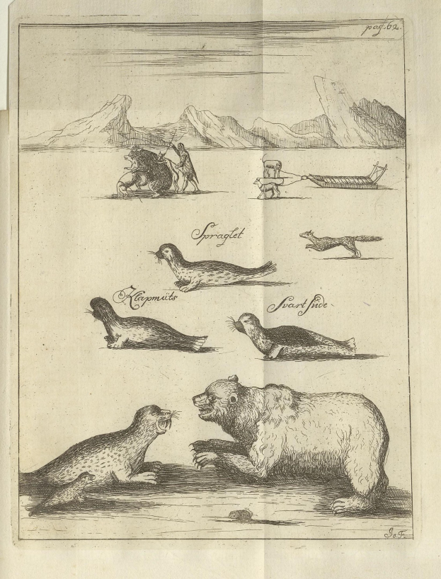 Ein aufgeschlagenes Buch mit einer Zeichnung verschiedener Tiere, darunter ein Seehund, und begleitendem Text über die Tiere.