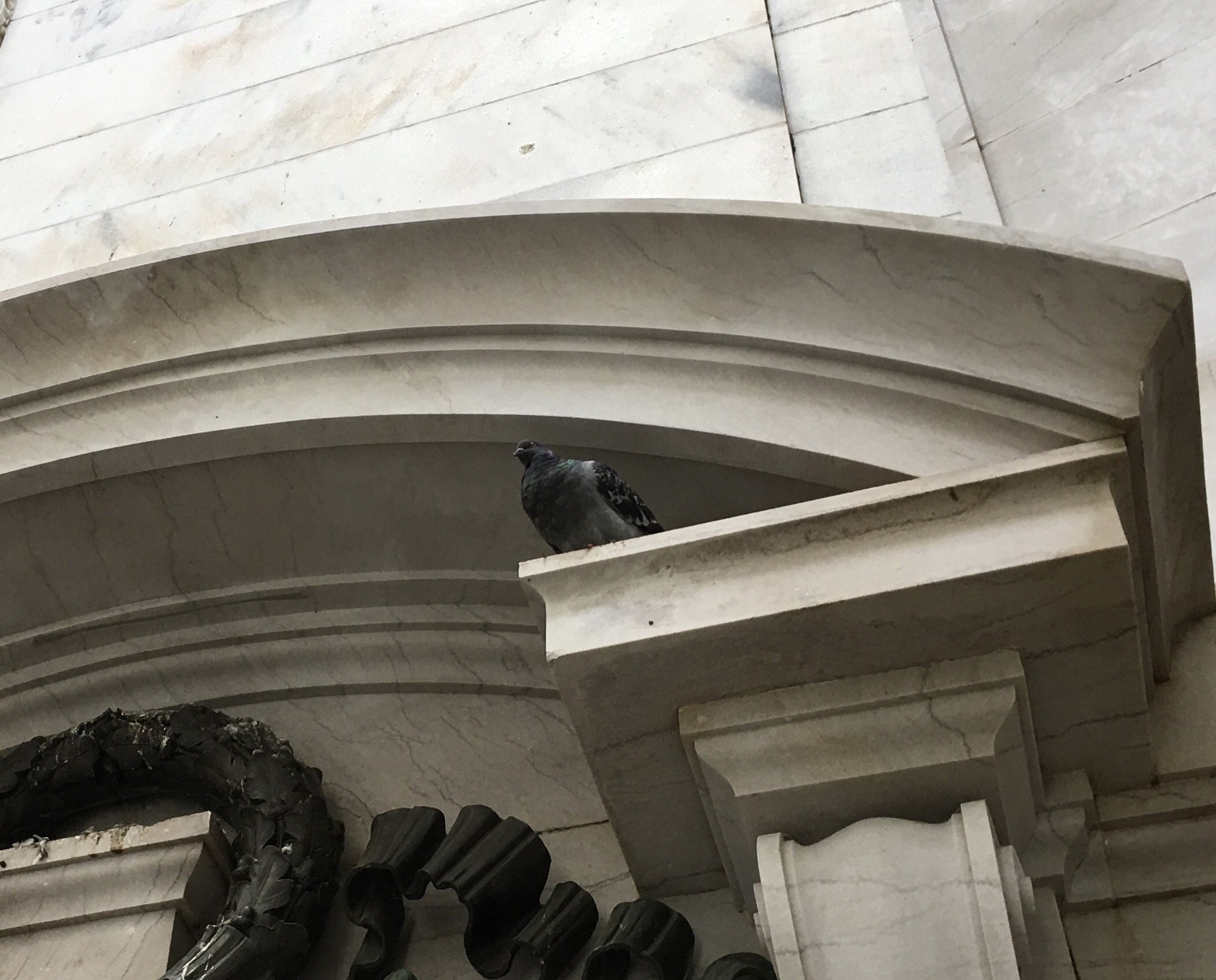 Eine Taube, die auf der Ecke eines Gebäudes über einer Skulptur sitzt.