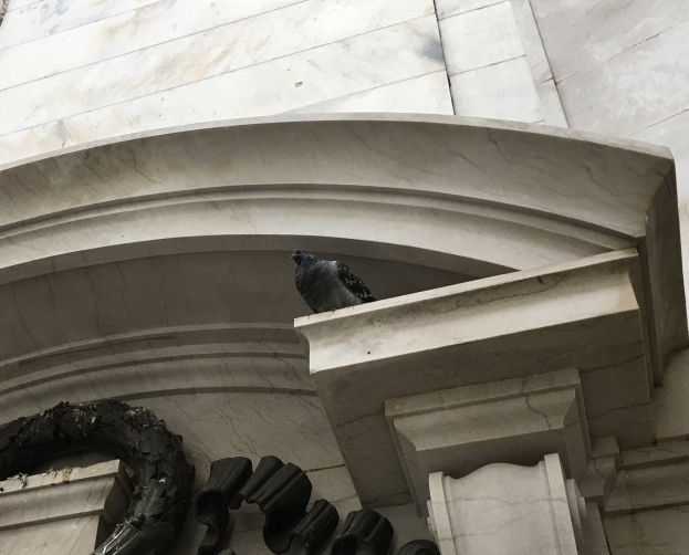 Eine Taube, die auf der Ecke eines Gebäudes über einer Skulptur sitzt.