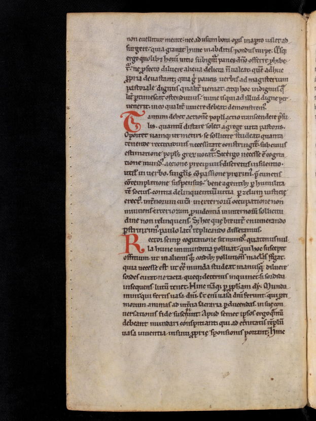 Ein aufgeschlagenes Buch mit einem roten Buchstaben 'R' auf dem Cover, das Text auf seinen Seiten zeigt, vor einem schwarzen Hintergrund.