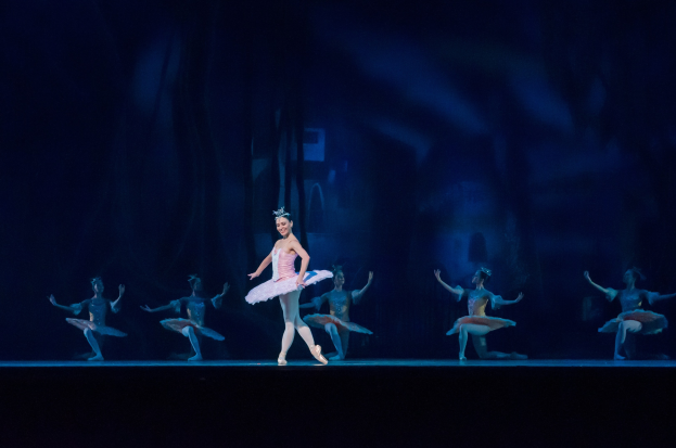 Eine Balletttänzerin in einem rosafarbenen Tutu und Spitzenschuhen tanzt auf einer Bühne mit anderen Tänzern in ähnlichen Kostümen, vor einem dunklen Hintergrund.