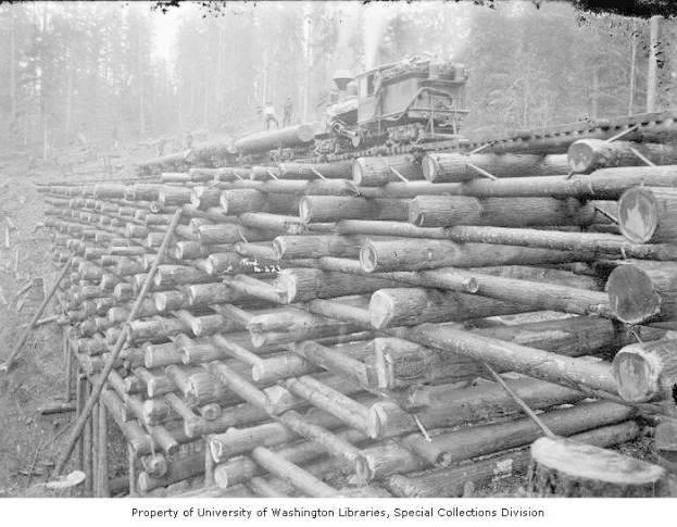 Schwarzes und weißes Foto eines Holzlaster, der neben einem Holzstapel in einem bewaldeten Gebiet geparkt ist, mit ein paar Menschen auf den Holzstapeln und dichtem Wald im Hintergrund.