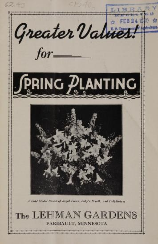 Buntes Papier mit einer Blumenillustration und dem Text "Größere Werte für die Frühlingsbepflanzung" von Lehman Gardens, Faribault, Minnesota.