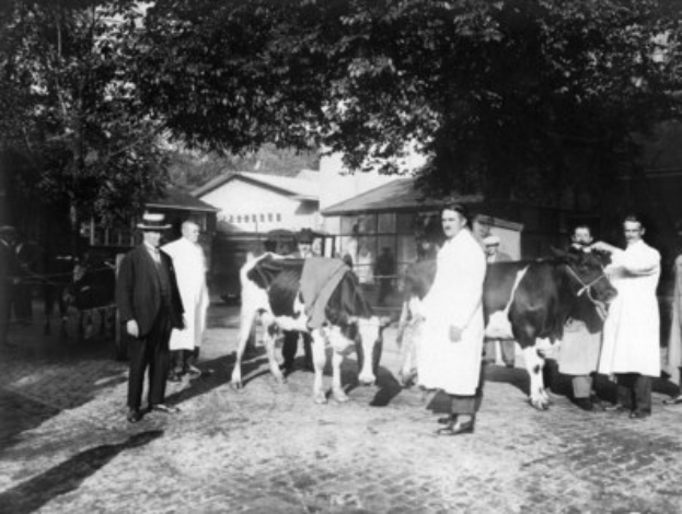 Eine Gruppe von Farmern in traditioneller Kleidung, die um eine Kuh in einer ländlichen Umgebung mit Gebäuden und Bäumen im Hintergrund stehen.