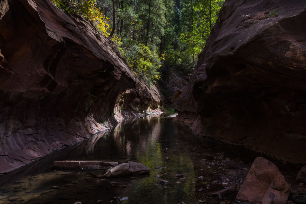 Enge Schluchtwände des Zion-Nationalparks in Utah umrahmen einen fließenden Fluss mit Bäumen in der Ferne.