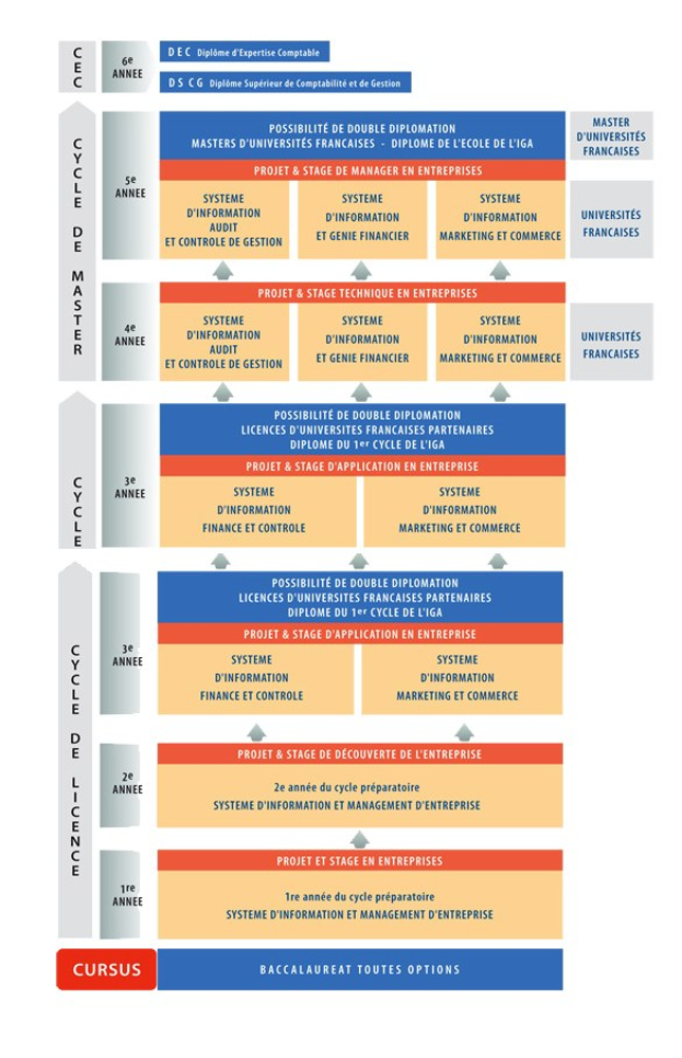Diagramm, das die Organisationsstruktur eines Unternehmens mit Phasen des Unternehmenswachstums zeigt, die durch Pfeile verbunden sind und jede Phase mit Rollen und Verantwortlichkeiten beschrieben ist.