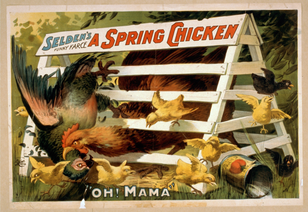 Plakat, das Selden's Frühlingshuhn bewirbt, zeigt Hühner und Küken auf einer grünen Wiese mit einem hölzernen Zaun im Hintergrund.
