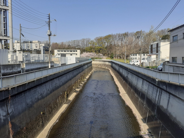 Kleiner Kanal mit Gebäuden, Strommasten mit Drähten und Fahrzeugen auf der Straße, mit Bäumen und einem klaren blauen Himmel im Hintergrund.