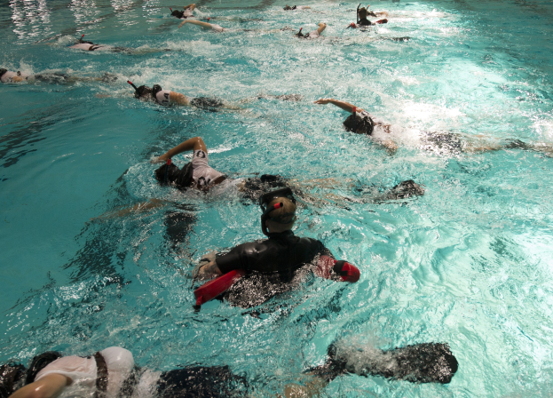 Gruppe von Menschen in Badesachen und Schnorchelausrüstung, die Synchronschwimmen in einem klaren, sonnendurchfluteten Pool durchführen.