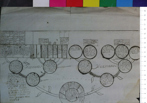 A hand-drawn family tree diagram with names, dates, and a scale, printed on a sheet of paper lying flat on a surface.