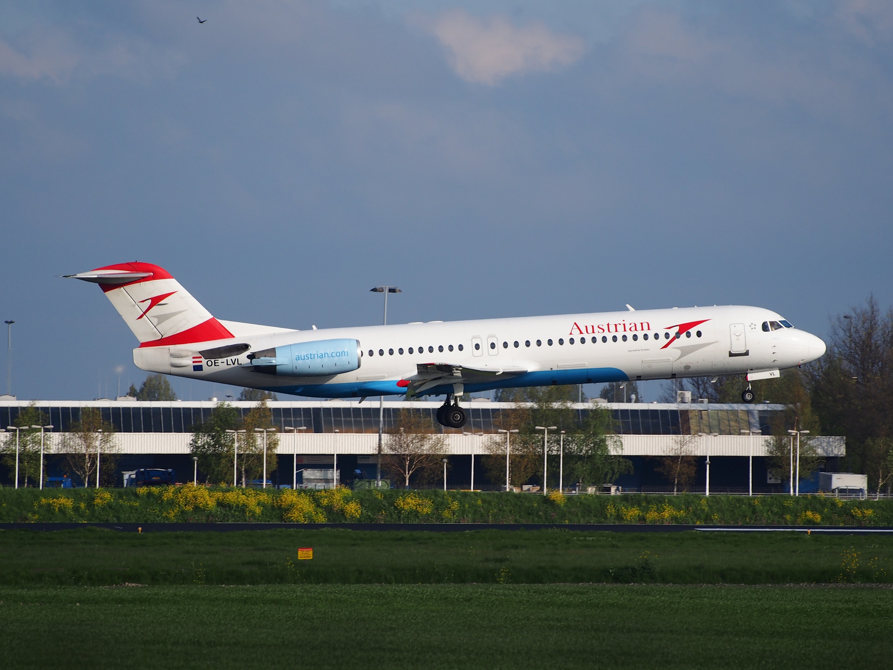 Ein Airbus A320-200 der Austrian Airlines startet am Frankfurter Flughafen, umgeben von grünem Gras, blühenden Pflanzen, Bäumen, Laternenmasten und einem Gebäude unter einem bewölkten Himmel.
