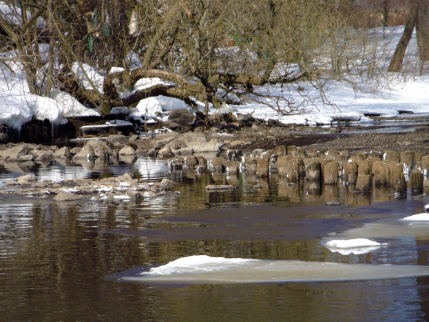 Ein stiller, klarer Fluss mit Eis und Schnee an seinen Ufern, umgeben von Bäumen und Felsen, der die Winterlandschaft spiegelt.