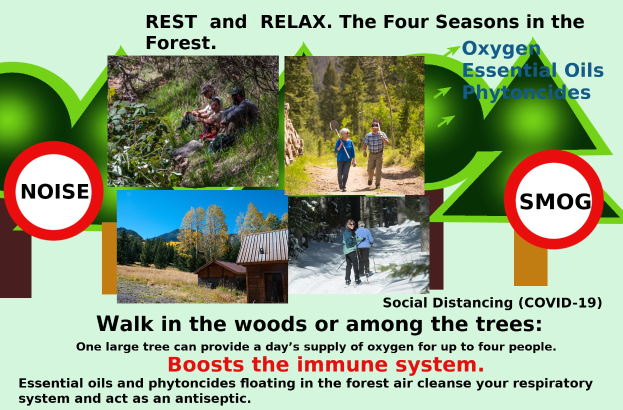 Plakat mit der Aufschrift "Ruhe und Entspannung die vier Jahreszeiten im Wald" mit Bildern von Menschen, die durch einen bewaldeten Bereich mit Bäumen und einem Haus gehen, um die Entspannung in der Natur zu fördern.