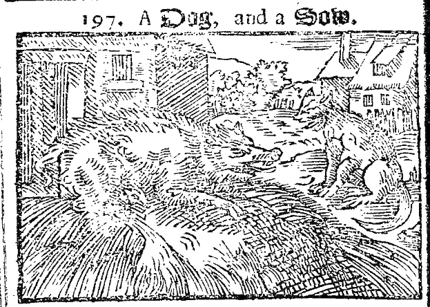 Schwarze und weiße Zeichnung eines Hundes, der auf den Hinterbeinen steht, neben einer zusammengerollten Katze, mit einem zweistöckigen Haus im Hintergrund mit rotem Dach und weißen Wänden, und dem Text "Ein Hund und eine Katze" darüber in einer fetten Schrift mit einem dekorativen Rahmen.